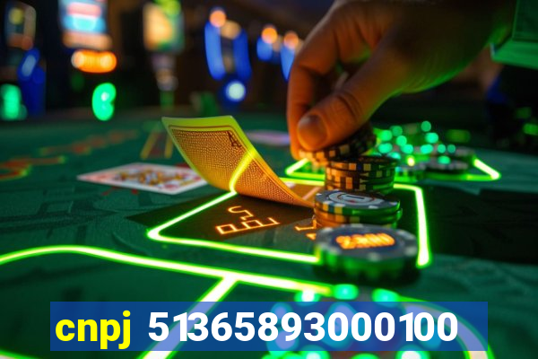cnpj 51365893000100